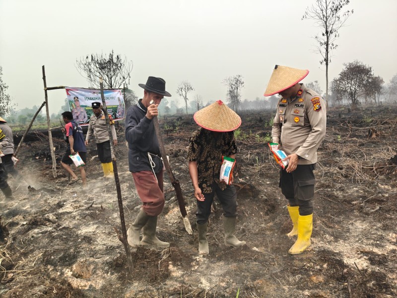 Tanam Jagung Pipil di Lahan Satu Hektare, Polsek Kuala Cenaku Bersinergi dengan Petani