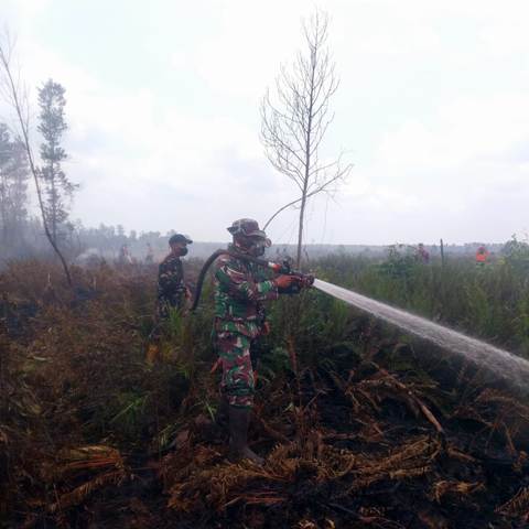 Kodam XIX/Tuanku Tambusai Perkuat Penanganan Karhutla, 92 Persen Lahan Terdampak Berhasil Dipadamkan