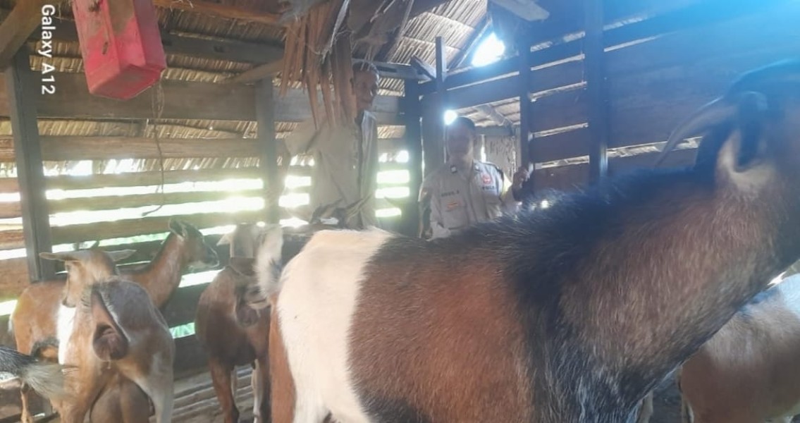 Asta Cita Berdetak di Keritang: Ketika Seragam Polri Berjabat Tangan dengan Keringat Peternak