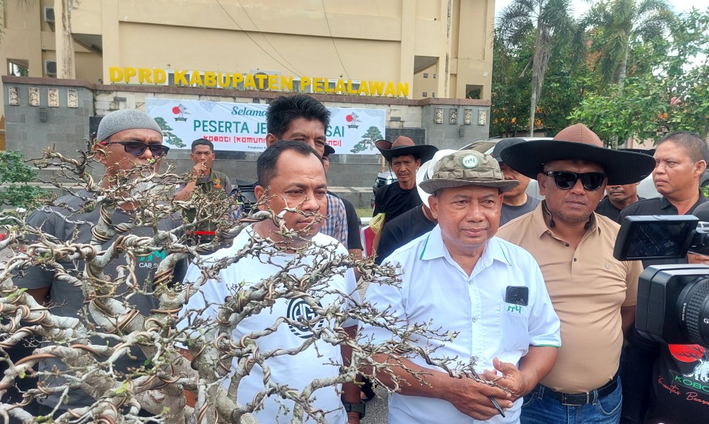 Jemur Bonsai III Koboci: Hadirkan Juri Nasional Asal Bogor untuk Edukasi Standarisasi Kualitas