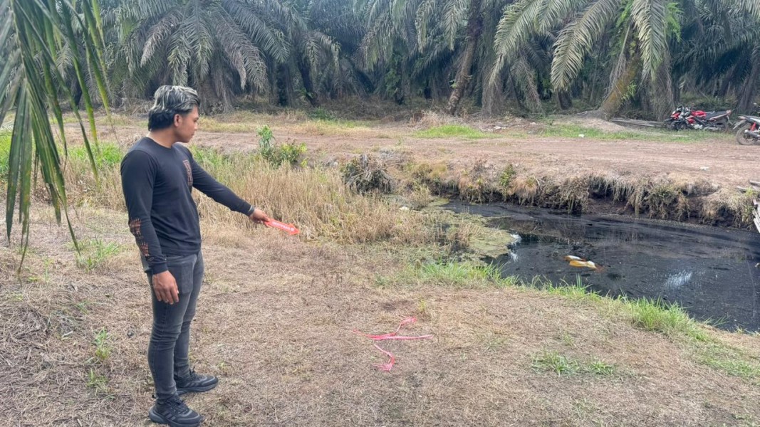 Kasus Dugaan Pembunuhan di Kebun Sawit Desa Pancur, Satu Orang Ditemukan Tewas
