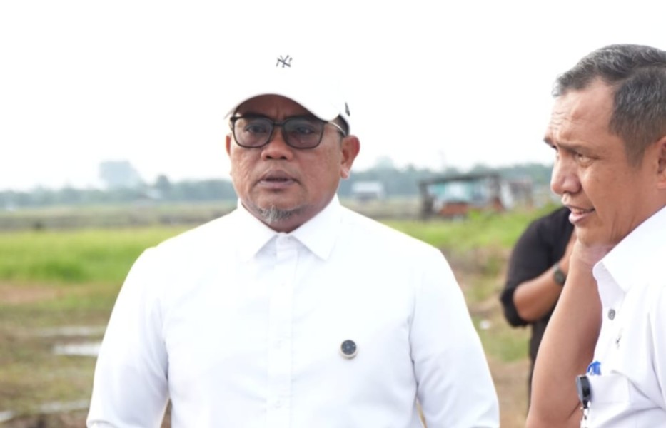 Pemkab Akan Kembangkan Kawasan Persawahan Terintegrasi dengan Wisata Istana Sayap Pelalawan