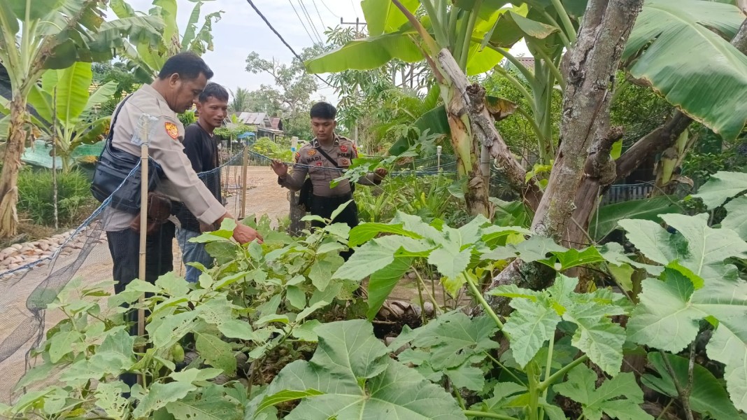 IPTU Parsaulian: Jangan Ada Lagi Lahan Kosong di Enok, Pekarangan Wajib Produktif
