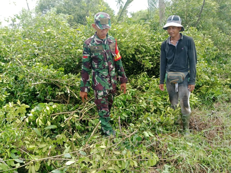 Babinsa Koramil 11/PBR Pantau Karhutla dan Sosialisasi di Desa Keramat Jaya
