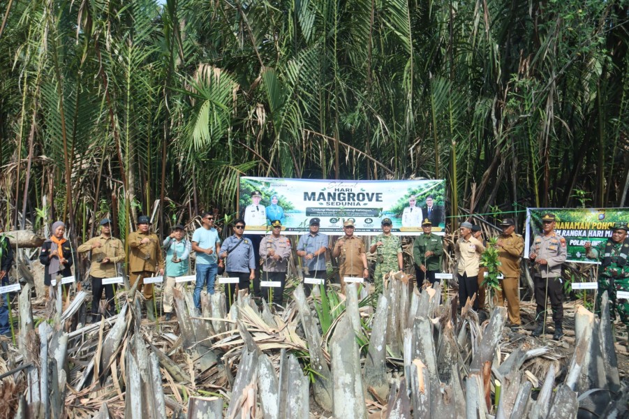Polres Inhil Bersama Forkopimda Tanam 5.000 Bibit Mangrove Serentak dan di 21 Polsek Jajaran Peringati Hari Mangrove Sedunia