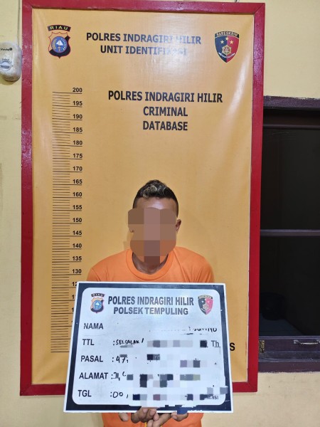 Pelaku Pembobol Rumah Kosong di Tempuling Dibekuk Polisi