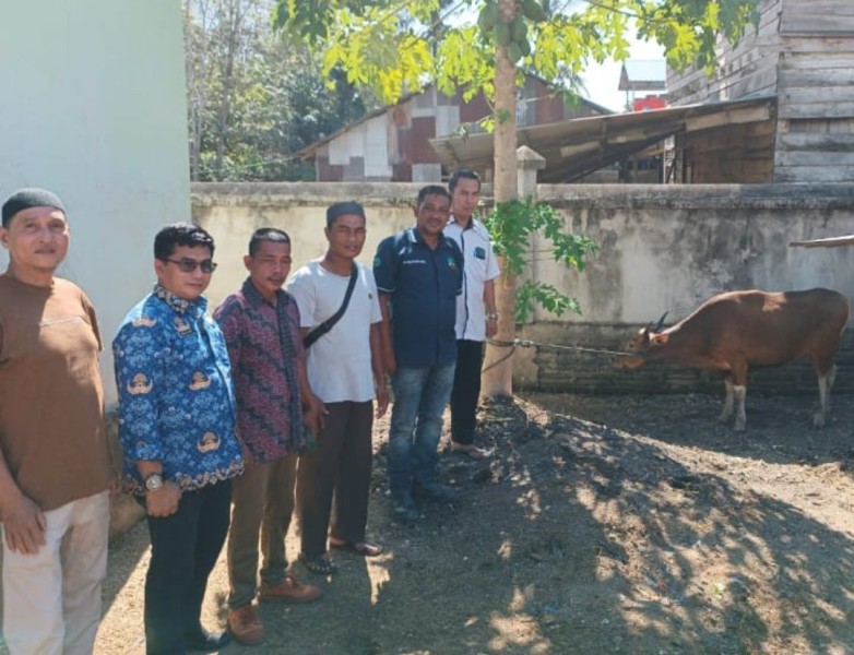 Pererat Hubungan dengan Warga, PT ATM Group Beri Bantuan Sapi Kurban di Desa Kota Lama