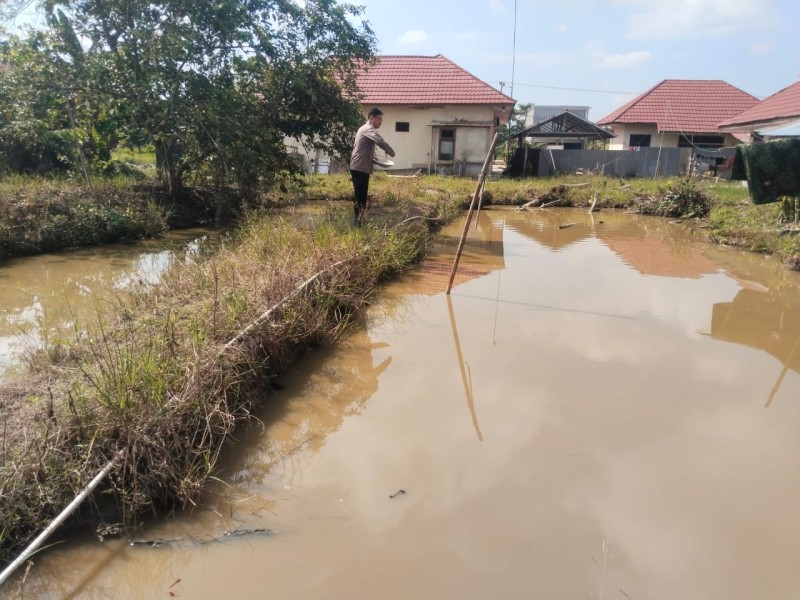 Kapolsek Keritang Apresiasi Personel Budidaya Gurami dan Nila, Dukung Ketahanan Pangan