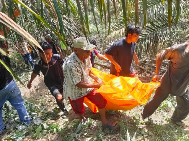Mayat Mr.X di Temukan di Sungai Tibun, Diduga Korban Tenggelam, Polres Kampar Himbau Masyarakat Segera Lapor Jika Ada Keluarga Hilang
