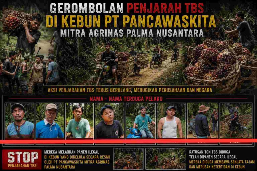 Menjarah di Kebun Agrinas, Pimpinan Penjarahan Nasrun Sitepu dan Kani Kembali Dilaporkan ke Polisi