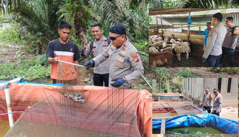Melihat Kapolsek Rengat Barat Sambangi Warga Produktif, Dukung Ketahanan Pangan di Talang Jerinjing