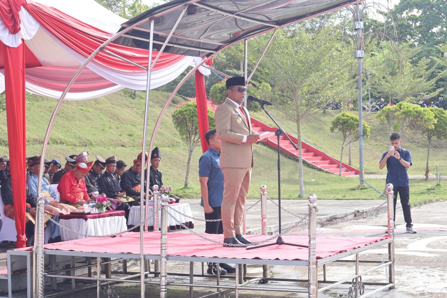 Bupati Pelalawan Pimpin Upacara Peringatan Hari Pahlawan hingga Ziarah Makam