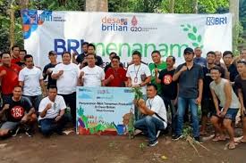 Bank Rakyat Indonesia (BRI) Perkokoh Penerapan ESG lewat Program 'BRI Menanam-Grow and Green'