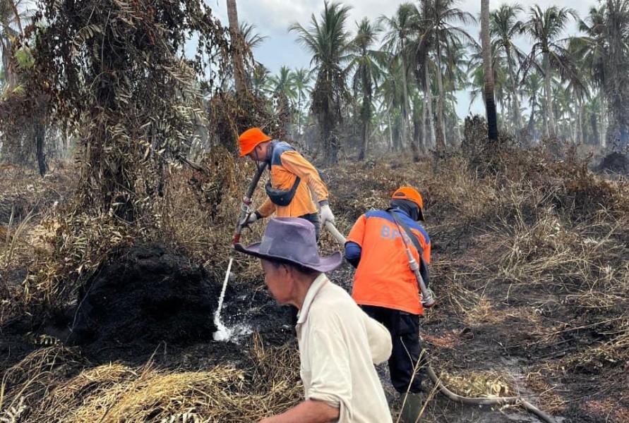 Karhutla Capai 141,9 Hektar, BPBD Inhil Surati Provinsi Minta Bantuan Bom Air
