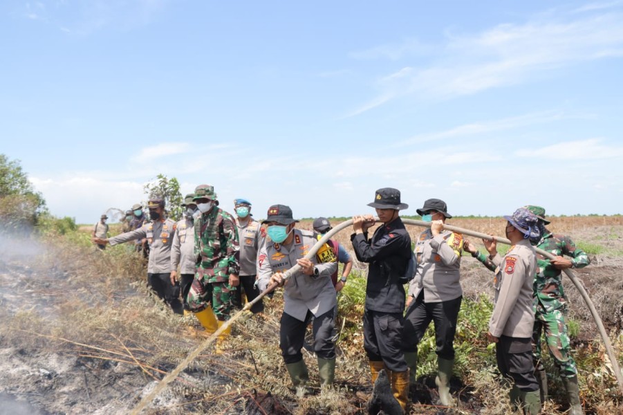 Kolaborasi Polisi-TNI-BPBD Berjibaku Padamkan Karhutla di Rokan Hilir