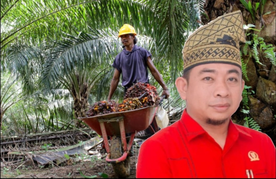 Kebun Disita, Karyawan Resah Kehilangan Pekerjaan, DPRD Inhu Minta Hak Buruh Dilindungi