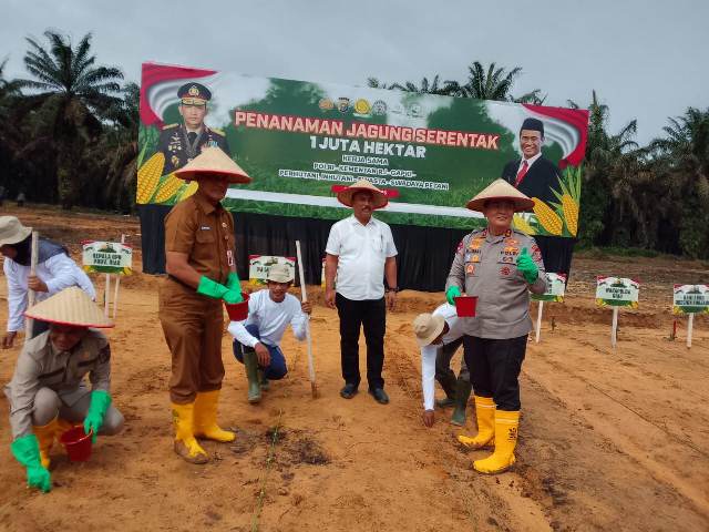 Kapolda Riau Tanam Jagung Sejuta Hektar Serentak se Indonesia, di Lahan PT Tasma Puja Desa Kampar
