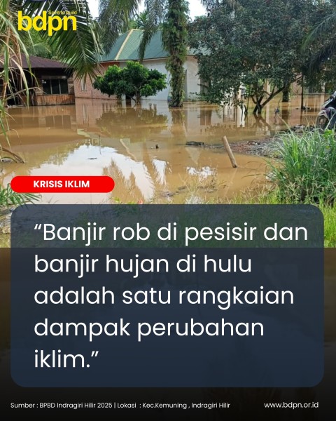 Krisis Iklim dan Banjir Berulang Mengancam Ekonomi Rakyat Inhil dan Peremajaan Kelapa