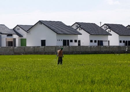 Lahan Pertanian Menyusut di Kabupaten Banjar Akibat Pembangunan Perumahan