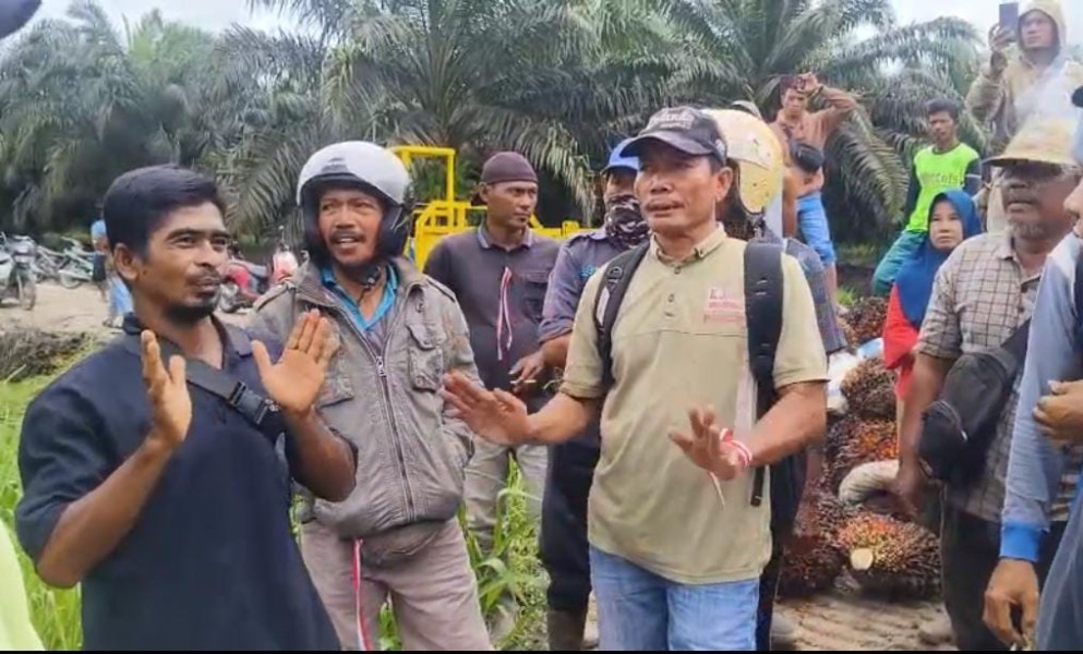 Diduga Rampas 370 Hektare Lahan Kemitraan, Warga Sungai Raya di Inhu Usir Pekerja PT SBP