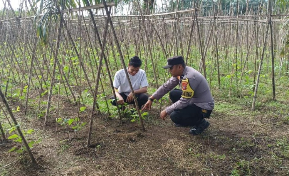 Polisi Tinjau Program Asta Cita Ketahanan Pangan di Desa Alang Kepayang