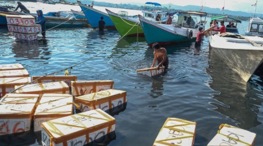 Pengamat: Program Ekonomi Biru Prabowo Buka Jalan Bangkitnya Maritim Indonesia