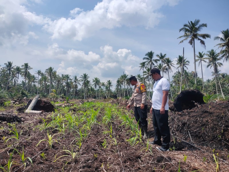 Polsek Keritang Pantau Progres Perawatan Jagung Program Asta Cita di Desa Lintas Utara