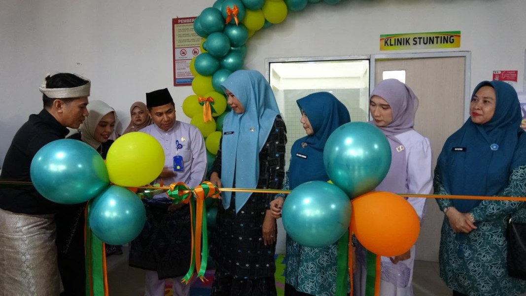 Wabup Inhil Yuliantini Resmikan Poliklinik Stunting RSUD Puri Husada, Perkuat Sistem Rujukan dan Layanan Anak