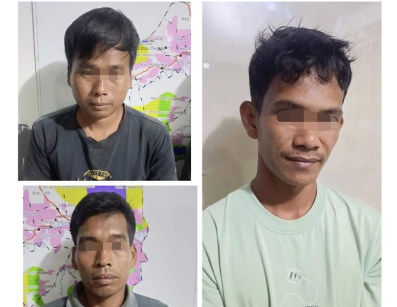 Polres Inhu Tangkap Tiga Pelaku Ilegal Logging