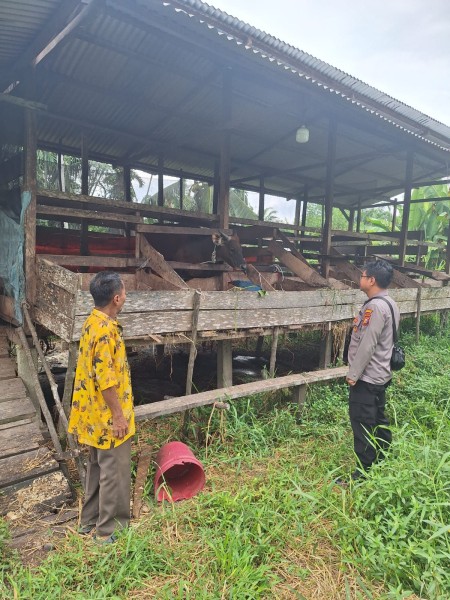Sambang Kamtibmas Polsek Keritang, Aiptu Untung Dialog Langsung dengan Peternak Sapi Warga