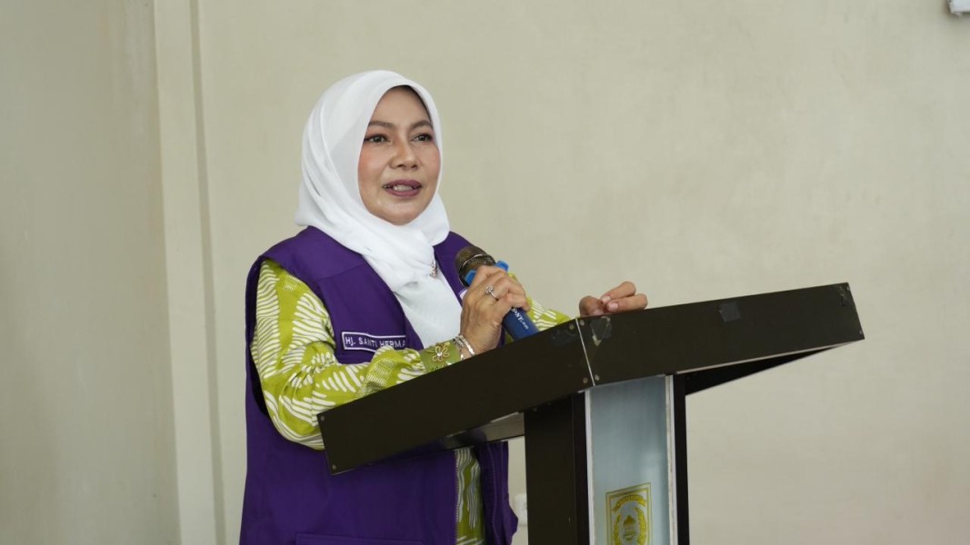 Katerina Susanti Dorong Posyandu Jadi Ujung Tombak Pemenuhan 6 Bidang SPM di Tembilahan