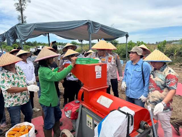 Panen Raya Jagung di Kampar, Sinergi Polres Kampar dan Dunia Usaha Perkuat Swasembada Pangan