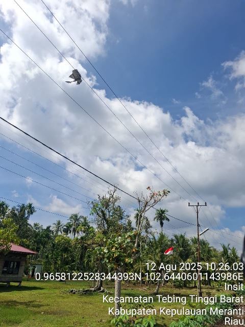 PLN Klarifikasi Pemadaman di Alah Air dan Jalan Impres: Dampak Layangan Besar