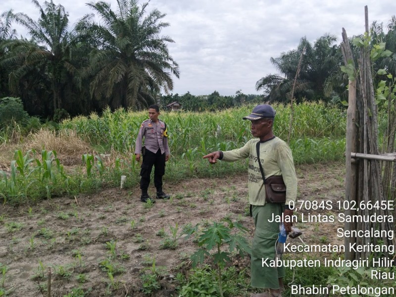 Bhabinkamtibmas: Pekarangan Rumah Bisa Jadi Benteng Pangan Jika Dirawat Bersama