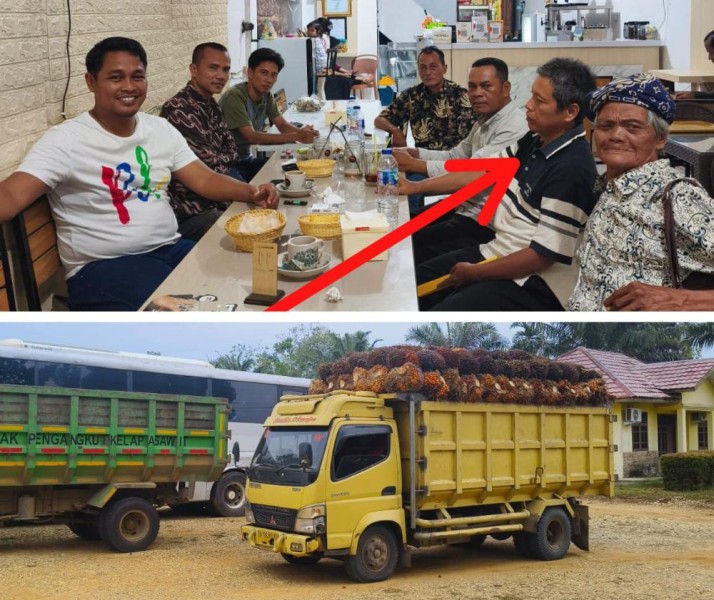 Kebun Eks PT SAL Tak Kondusif, Panen Sepihak dan Ancaman Terjadi Siang-Malam