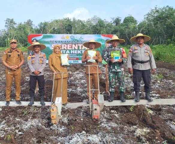 Setengah Hektar Lahan di Mapolsek Rangsang Barat Ditanami Bibit Jagung Pipil