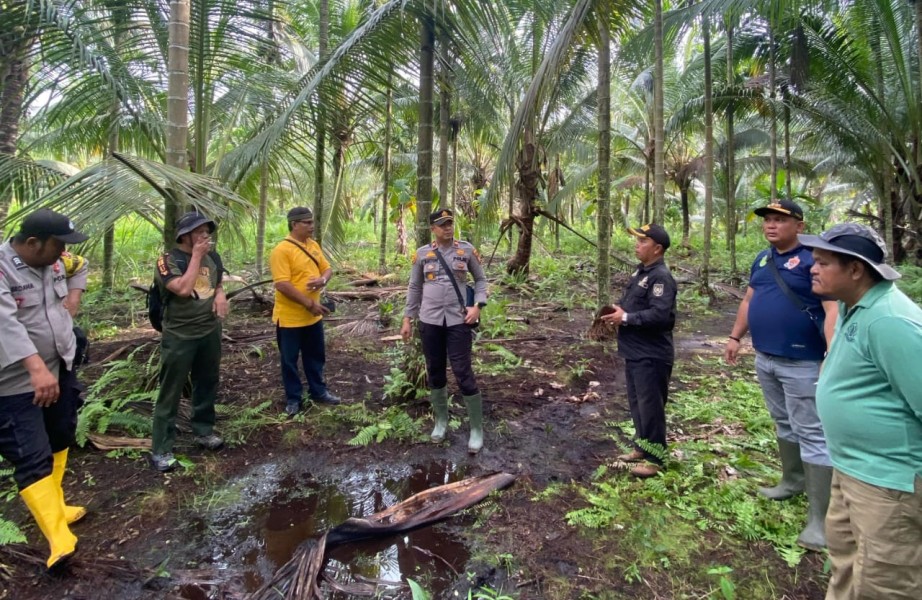 Jejak Kaki Harimau Ditemukan di Pelangiran, Polisi Imbau Masyarakat Hati-Hati