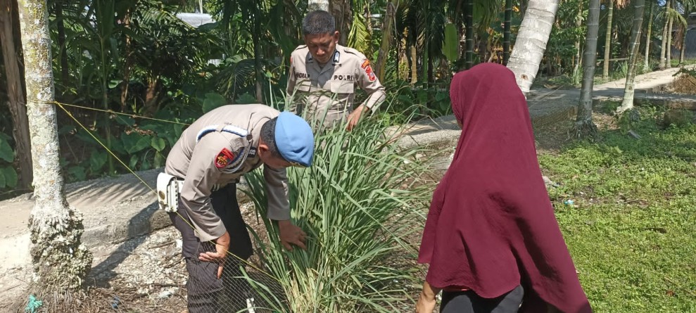 Dorong Produktivitas Ekonomi Masyarakat, Personel Polsek Enok Pantau Tanaman Di Perkarangqn Rumah