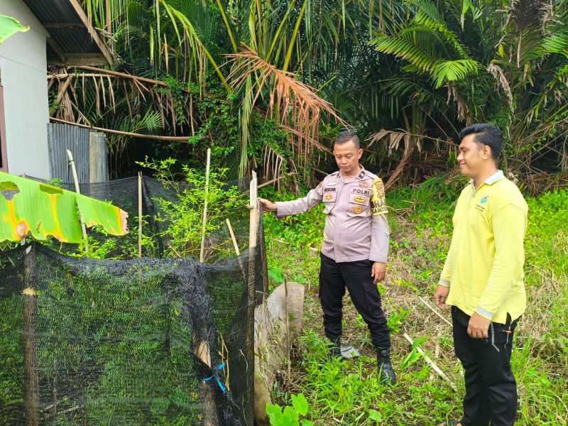 Bhabikamtibmas Polsek Gas Rutin Edukasi Warga Demi Panen Sehat