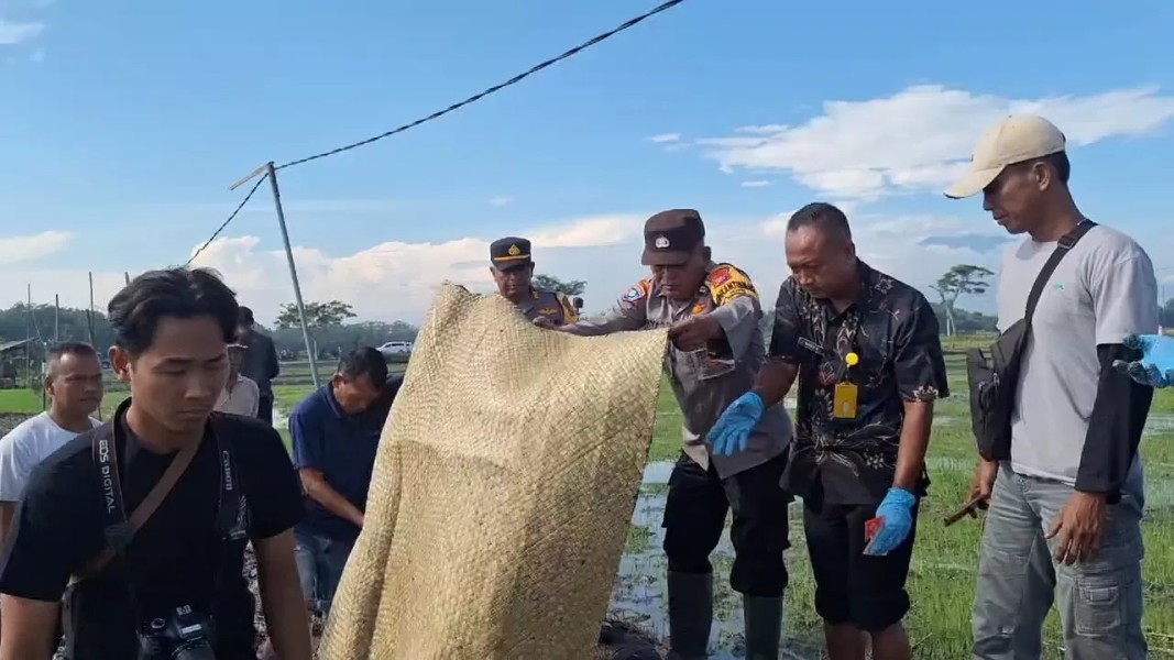 Pria di Ngawi Tewas Tersengat Jebakan Tikus Listrik saat Berburu Belut