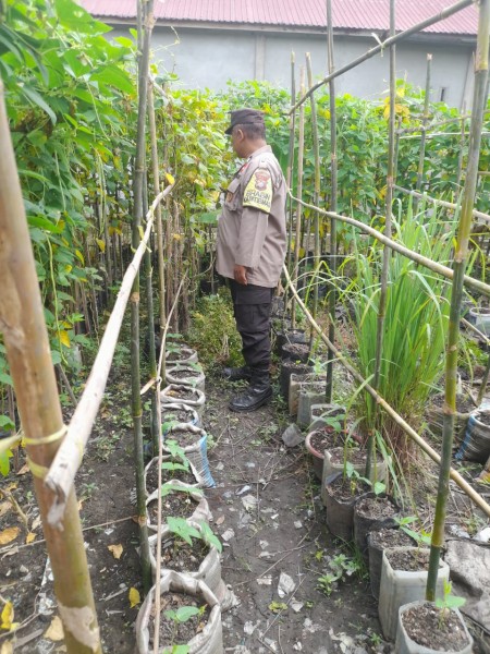 Bhabinkamtibmas Desa Pengalihan Sambangi Pekarangan Warga Dukung Program Ketahanan Pangan