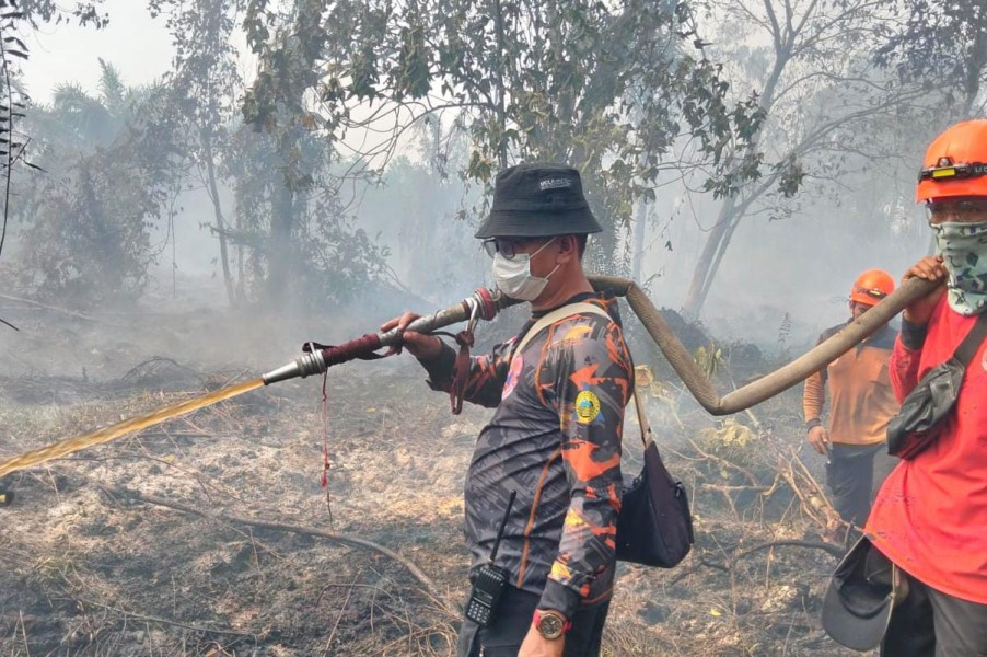 Bupati Inhil Instruksikan BPBD Tangani Karhutla Hanguskan 10 Hektare di Bayas Jaya