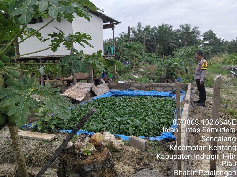 Bhabinkamtibmas Petalongan Edukasi Ajak Warga Ubah Pekarangan Jadi Lumbung Pangan Keluarga
