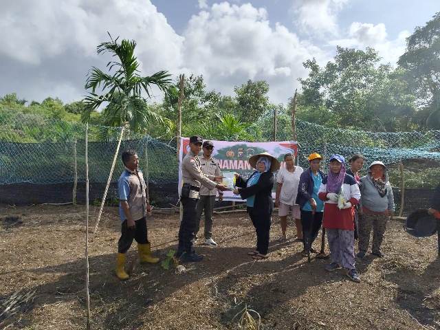 Dukung Ketahanan Pangan, Polsek Rangsang Tanam Bibit Jagung di Desa Sokop