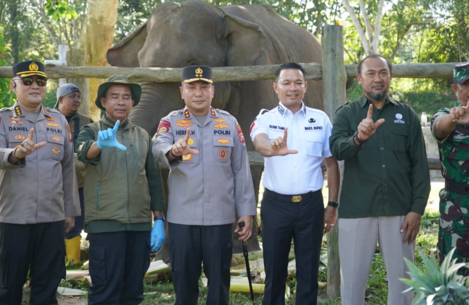 Dampingi Kapolda Riau ke TNTN, Wabup Pelalawan Saksikan Pemberian Nama Anak Gajah 'Nona Seroja'