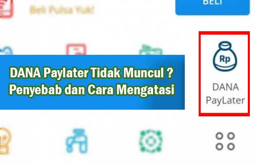 Penyebab DANA PayLater tidak Bisa Digunakan dan Solusinya
