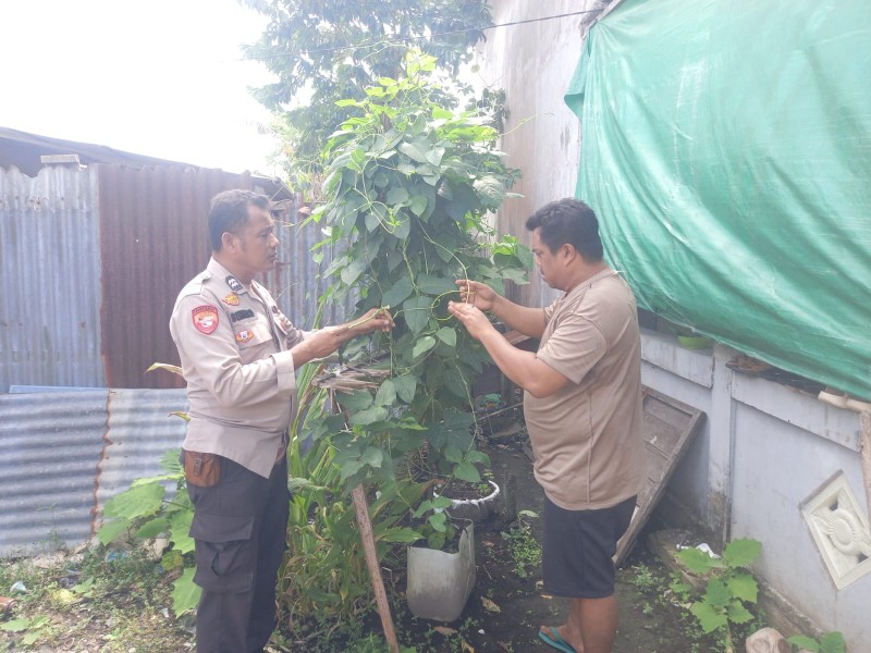 Polsek Enok Hadir di Jalan Veteran, Bhabikamtibmas  Apresiasi Warga Tanam Sayur, Kunyit, dan Serai