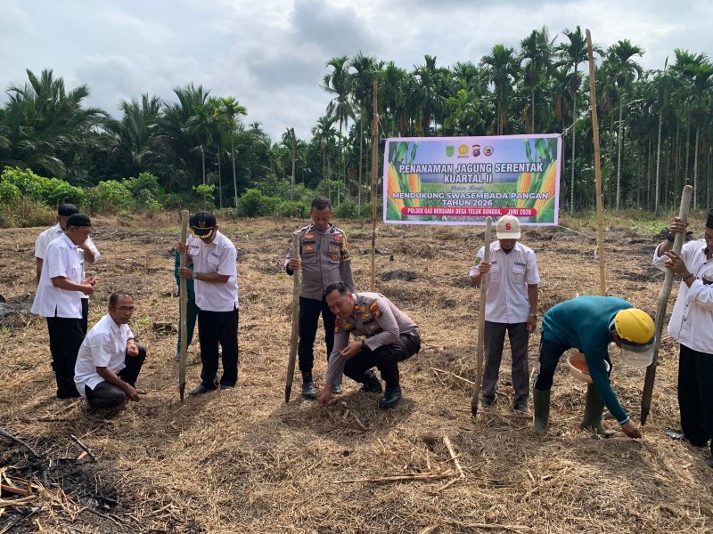 Penanaman Jagung di Teluk Sungka, Polsek GAS Tegaskan Polri Hadir untuk Pangan