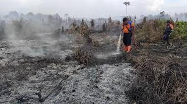 Karhutla Meluas di Inhil, 35 Hektare Lahan Hangus di Tiga Kecamatan Ini