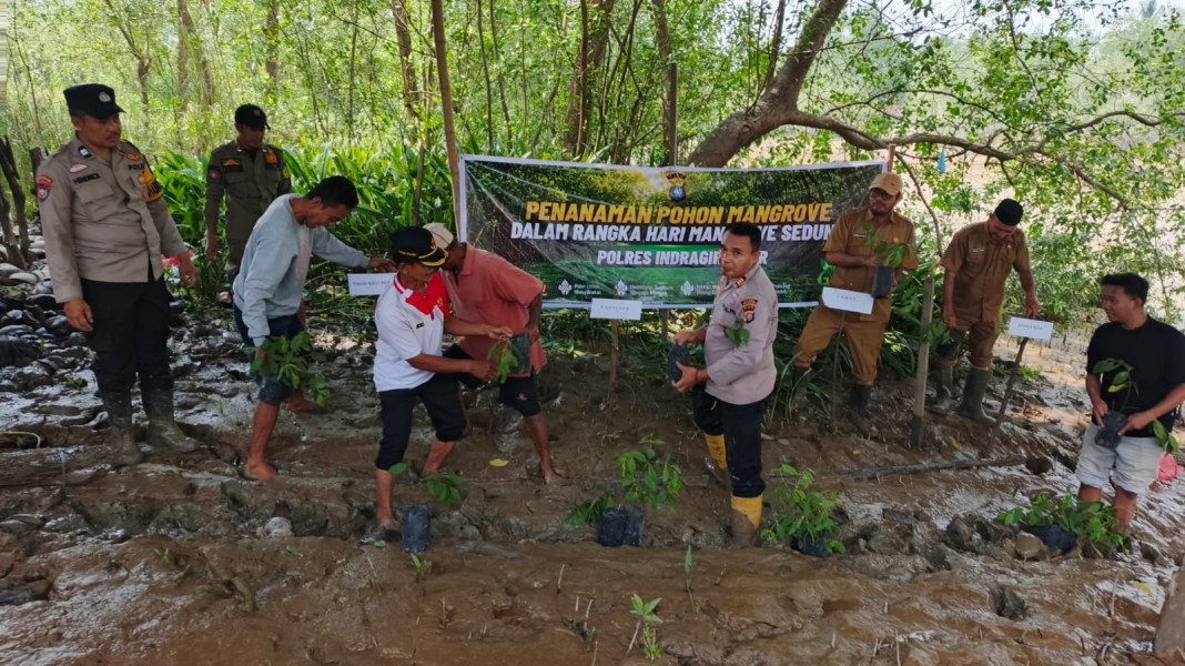 Green Policing di Sungai Keritang, Polri dan Warga Tanam Harapan Lewat Mangrove